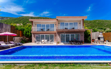 Villa Zelya